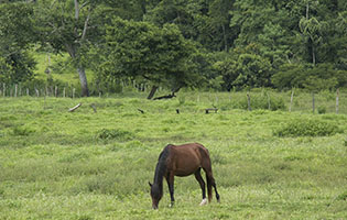 Thumbnail Placeholder